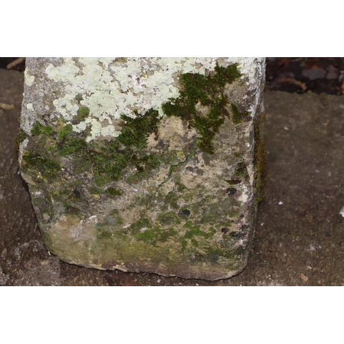 19 - A staddle stone with associated square top, 67cms high.