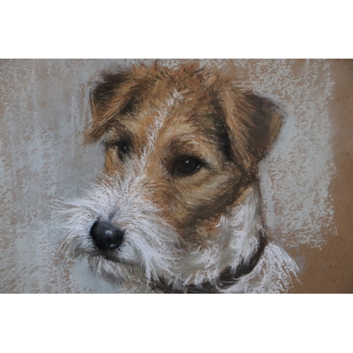 347 - Hesta Warren (20th century school) - Patch - study of a fox terrier, signed lower right, pastel, fra... 