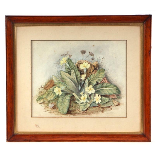 167 - Victorian school - Still Life of Primroses - watercolour, framed & glazed, 27 by 22cms.