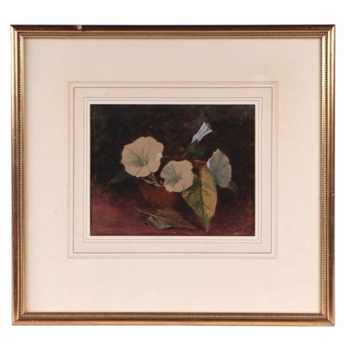 183 - Victorian school - Still Life of Lilies in a Bowl - watercolour, framed & glazed, 20 by 16cms.