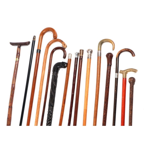 390 - A large quantity of walking sticks to include silver mounted and horn handled examples.