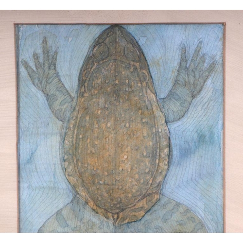 217 - Tony Smith (mid century British) - Study of a Frog in Water from Above - watercolour, framed & g... 