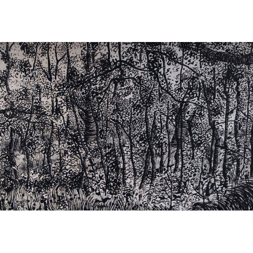 255 - Ana Corberó (Contemporary Spanish) - Undergrowth - signed lower edge, reed pen & ink,  61 by 48c... 