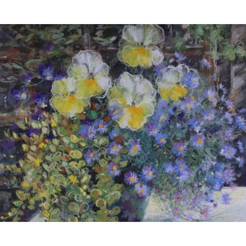 260 - Maureen Jordan (20th century British) - Cream Pansies - pastel, framed & glazed, 31 by 40cms.