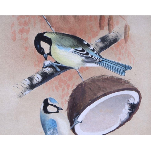 193 - K E Hoy - a watercolour illustration depicting a blue & great tit feeding on a coconut husk, sig... 