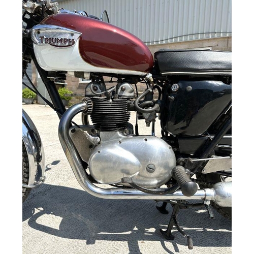 50 - A 1969 Triumph Tiger T100R, registration no. REU 470E, engine no. T100R H52870, red and white.  This... 