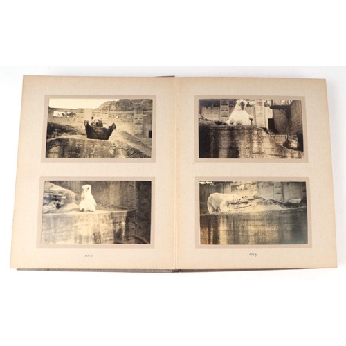 62 - Two private photograph albums containing images of London Zoo between 1925 and 1935, each album cont... 