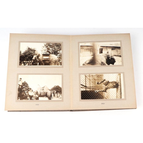 62 - Two private photograph albums containing images of London Zoo between 1925 and 1935, each album cont... 