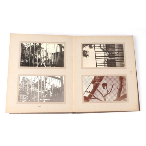 62 - Two private photograph albums containing images of London Zoo between 1925 and 1935, each album cont... 