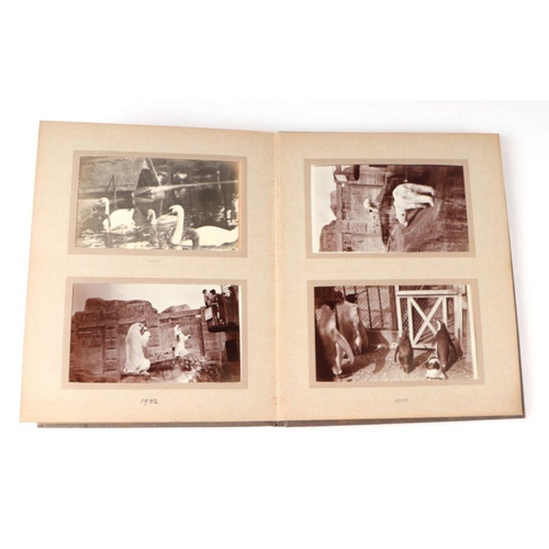 62 - Two private photograph albums containing images of London Zoo between 1925 and 1935, each album cont... 