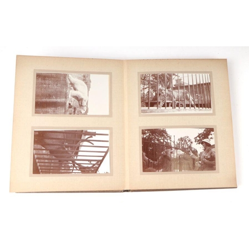 62 - Two private photograph albums containing images of London Zoo between 1925 and 1935, each album cont... 