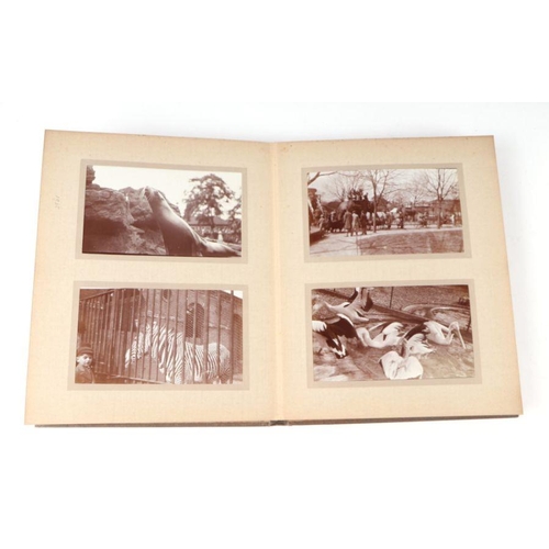 62 - Two private photograph albums containing images of London Zoo between 1925 and 1935, each album cont... 