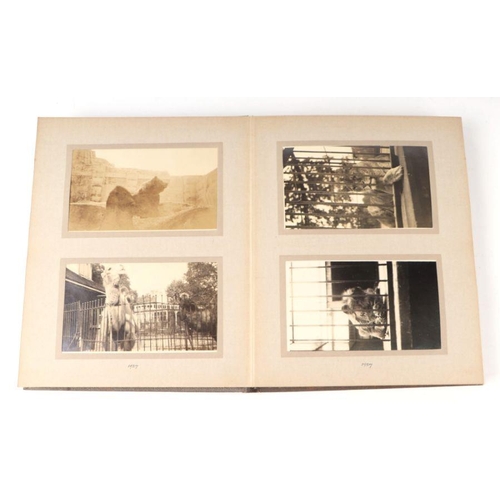 62 - Two private photograph albums containing images of London Zoo between 1925 and 1935, each album cont... 