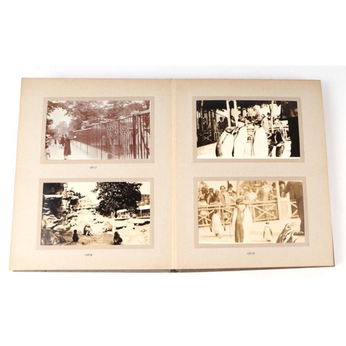 62 - Two private photograph albums containing images of London Zoo between 1925 and 1935, each album cont... 