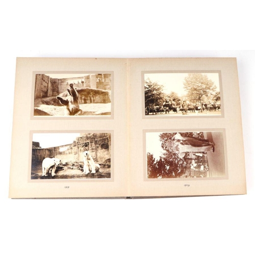 62 - Two private photograph albums containing images of London Zoo between 1925 and 1935, each album cont... 