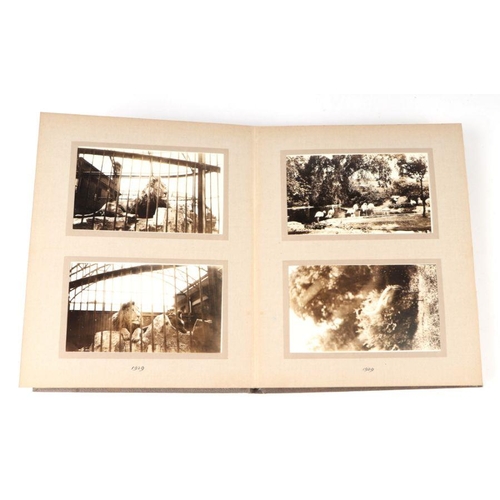 62 - Two private photograph albums containing images of London Zoo between 1925 and 1935, each album cont... 