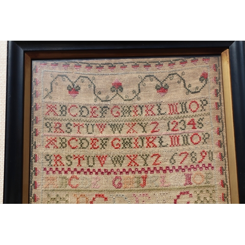 123 - A George IV sampler with alphabet, birds and trees within a foliate wavy border, dated 1827, framed ... 