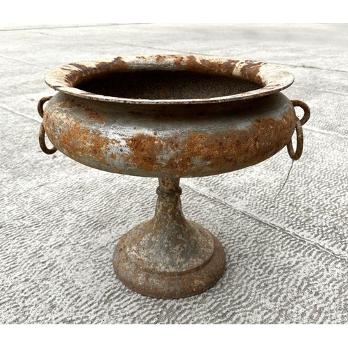 10 - A cast iron classical form pedestal urn planter with ring handles. 54cm wide