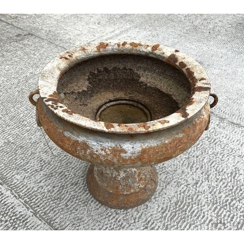 10 - A cast iron classical form pedestal urn planter with ring handles. 54cm wide