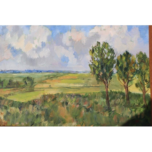 198 - 20th century school - Landscape Scene with Trees in the Foreground - framed, oil on board, 35 by 25c... 