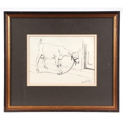 204 - Alan Barlow (20th century modern British) - Study of  a Goat - signed lower right, pen & ink, fr... 