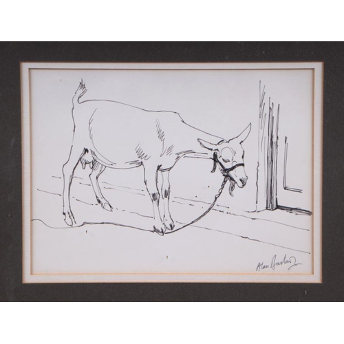 204 - Alan Barlow (20th century modern British) - Study of  a Goat - signed lower right, pen & ink, fr... 