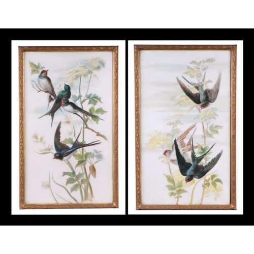 257 - A pair of late 19th century paintings on milk glass panels depicting swallows, framed and glazed, 28... 