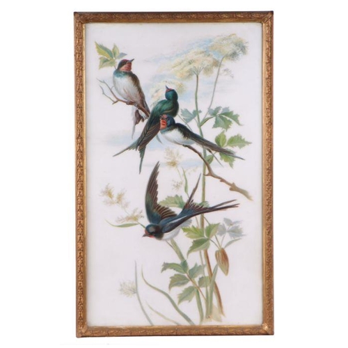 257 - A pair of late 19th century paintings on milk glass panels depicting swallows, framed and glazed, 28... 