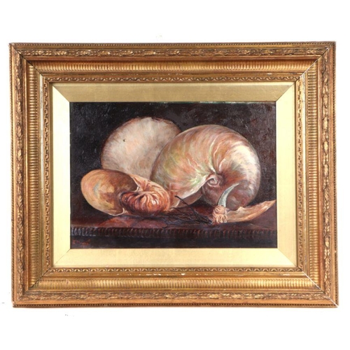 260 - E Mossey (?)  - Still Life of Nautilus Shells and a Crab Claw - indistinctly signed lower left, oil ... 