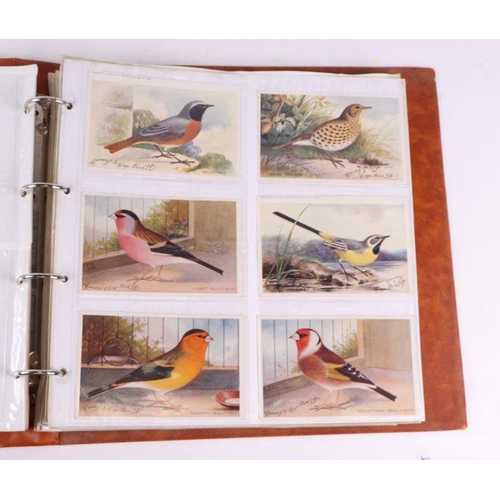 30 - An album containing natural history and ornithological postcards.