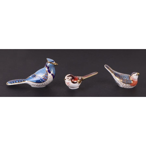 364 - A group of Royal Crown Derby paperweights, Bluebird, Pied Wagtail, Bullfinch, Bunting, Long Tail Tit... 