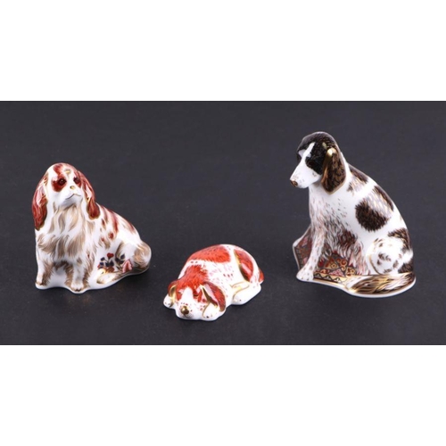 402 - A group of Royal Crown Derby paperweights, Cavalier King Charles Spaniel; King Charles Spaniel; Pupp... 