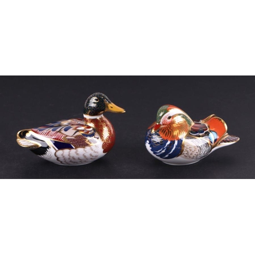 418 - A group of Royal Crown Derby paperweights, Carolina Duck; Collectors Guild Duck; Mallard; Mandarin; ... 