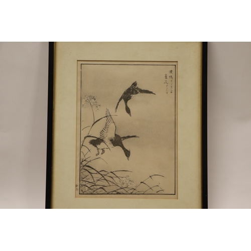 851 - Chinese school - two woodblock prints depicting birds; together with another similar depicting a dra... 