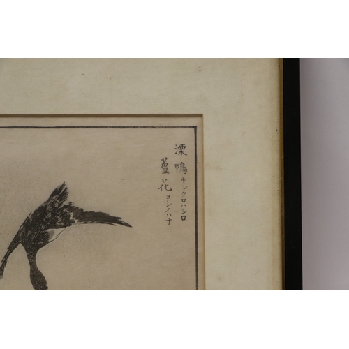 851 - Chinese school - two woodblock prints depicting birds; together with another similar depicting a dra... 