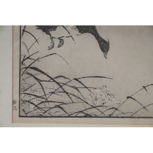 851 - Chinese school - two woodblock prints depicting birds; together with another similar depicting a dra... 