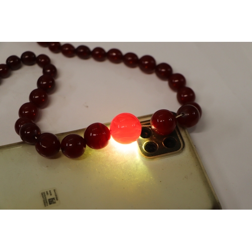 713 - A graduated cherry amber bead necklace, 48g, approx 72cm long.