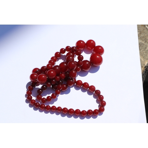 713 - A graduated cherry amber bead necklace, 48g, approx 72cm long.