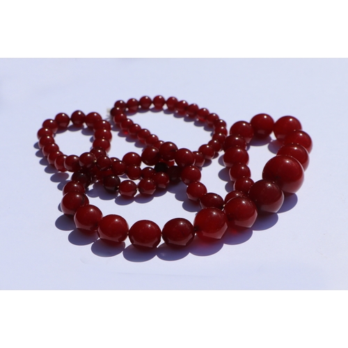 713 - A graduated cherry amber bead necklace, 48g, approx 72cm long.