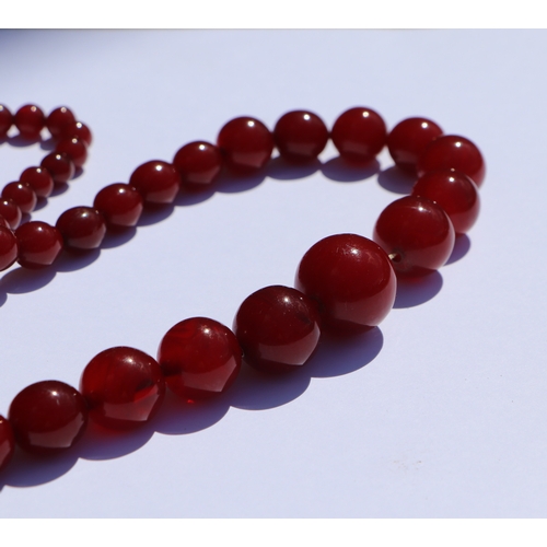 713 - A graduated cherry amber bead necklace, 48g, approx 72cm long.