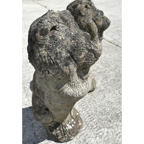 12 - A pair of well weathered reconstituted stone seated lions, 45cm high.