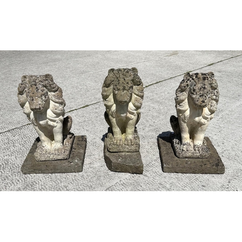 13 - A group of three reconstituted stone seated lions, 44cm high. (3)