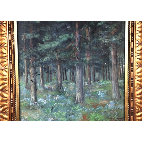 191 - Early 20th century Impressionist school - Wooded Landscape with Two Dogs in the Foreground - oil on ... 