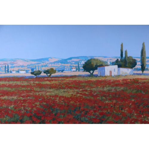 224 - 20th century continental school - Poppy field with Hill Ranges in the Background - indistinctly sign... 