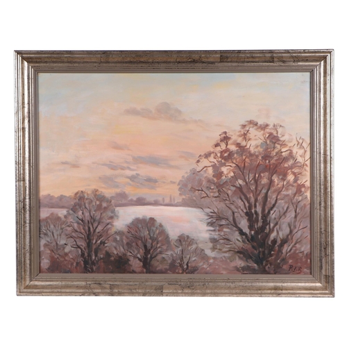 236 - De Brett (modern British) - Sunset Landscape Scene with Trees in the Foreground - initialled lower r... 