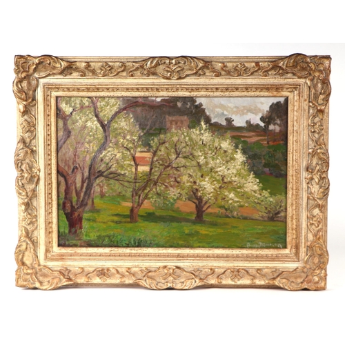 247 - Augusta Marcon (Italian 1892-1980) - Orchard Scene with Trees in Blossom - oil on board, signed lowe... 