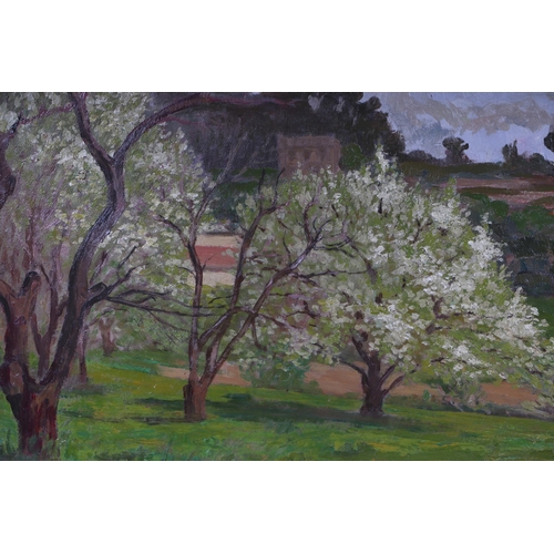 247 - Augusta Marcon (Italian 1892-1980) - Orchard Scene with Trees in Blossom - oil on board, signed lowe... 