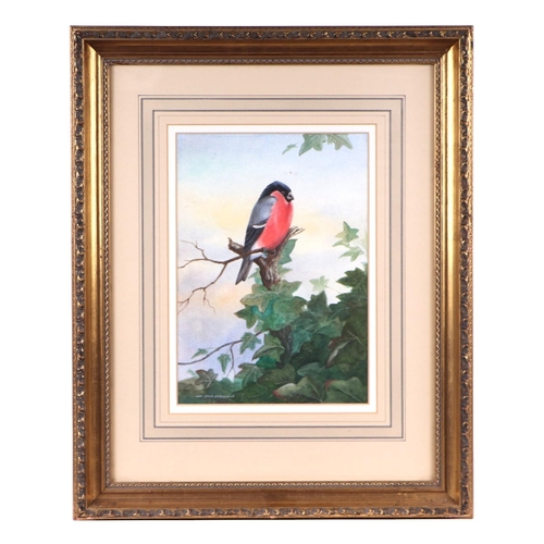 261 - John Lewis Fitzgerald (b1945) - The Bullfinch - watercolour, signed lower left, framed and glazed,  ... 