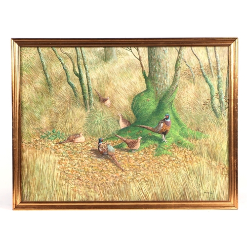 265 - Nicolas Mace (b1949) - Pheasants - oil on board, signed lower right, framed, 40cm by 30cm