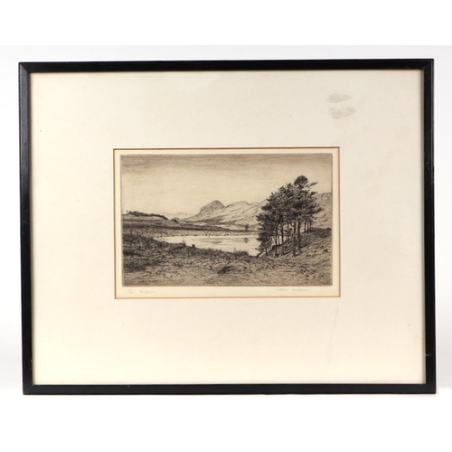 271 - After Matthew Henderson (modern British) - Dungoyne - limited edition etching, numbered 17/40, signe... 